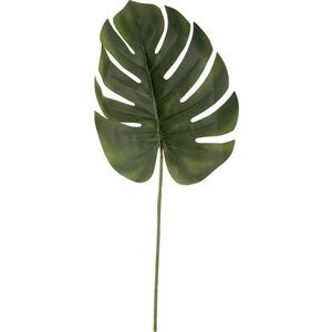 Umělá monstera (výška 61 cm) – PT LIVING obraz