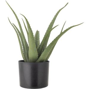 Umělá rostlina (výška 61 cm) Aloe – Bloomingville obraz