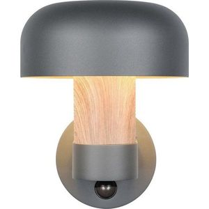 Nástěnné venkovní svítidlo (výška 24, 5 cm) Fraser – Trio obraz