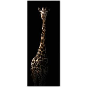 Obraz Styler Glas Animals Gira, 50 x 125 cm obraz