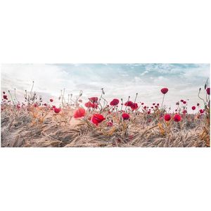 Obraz na plátně Styler Poppies, 60 x 150 cm obraz
