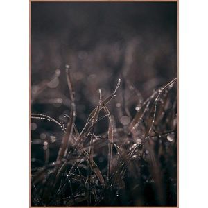 Obraz 50x70 cm Mellow Grasses 5 – Malerifabrikken obraz