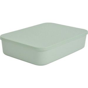 Světle zelený plastový úložný box s víkem 35, 5x25, 5x8 cm – Homéa obraz