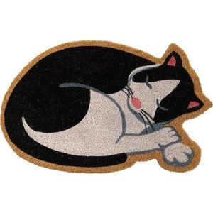 Rohožka z kokosového vlákna 40x60 cm Cat – Casa Selección obraz