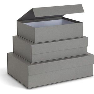 Šedé kartonové úložné boxy v sadě 3 ks s víkem/dekorativní 42, 5x29, 5x13 cm Kian Paper Laminate – Bigso obraz