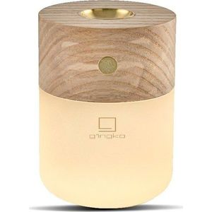Elektrický difuzér Smart – Gingko obraz