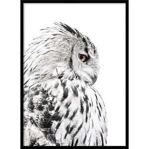 Obraz 50x70 cm Owl – Styler obraz