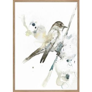 Obraz 50x70 cm Bird 2 – Malerifabrikken obraz