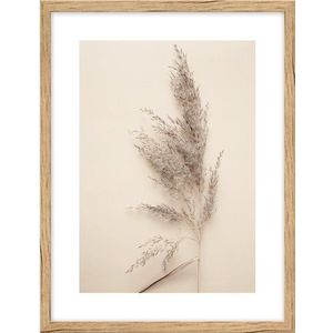 Obraz 30x40 cm Grass – knor obraz