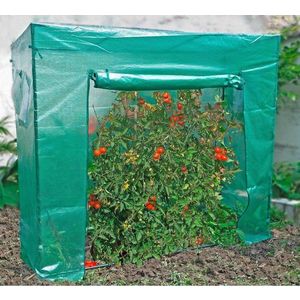 Fóliovník – Garden Pleasure obraz