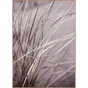 Obraz 50x70 cm Mellow Grasses 1 – Malerifabrikken obraz