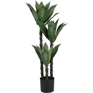 Umělá rostlina (výška 120 cm) Agave – Ixia obraz