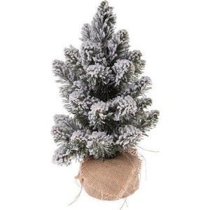 Umělý vánoční stromeček výška 30 cm Snowy Fir – Dakls obraz