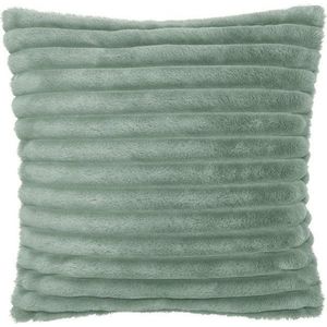Dekorační polštář 45x45 cm Cosy – Catherine Lansfield obraz