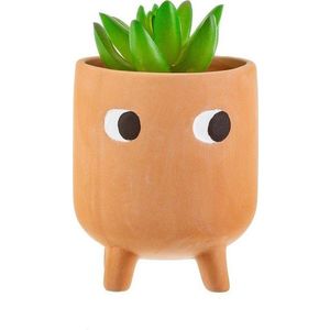 Terakotový květináč Sass & Belle Leggy, ø 8, 2 cm obraz