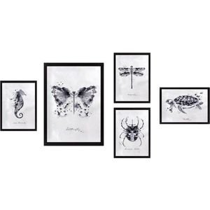 Obrazy v sadě 5 ks Butterfly – Wallity obraz