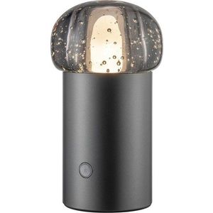 LED přenosné stmívatelné venkovní svítidlo na USB ø 10 cm Iris – Blomus obraz
