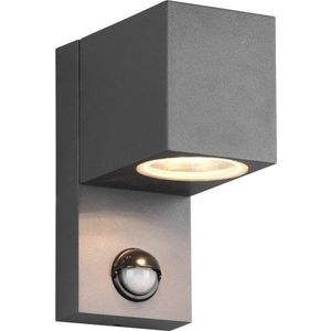 Nástěnné venkovní svítidlo (výška 15 cm) Roya – Trio obraz