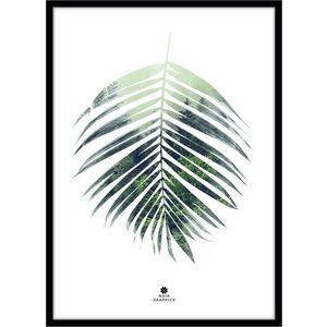Obraz 50x70 cm Palm Leaf – Malerifabrikken obraz