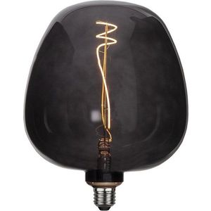 Teplá LED dekorativní žárovka E27, 2 W Black Apple – Star Trading obraz