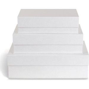 Bílé kartonové úložné boxy v sadě 3 ks s víkem/dekorativní 42, 5x29, 5x13 cm Kian Paper Laminate – Bigso obraz