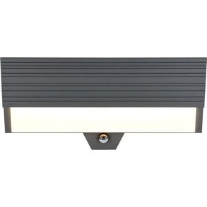 Venkovní svítidlo se senzorem pohybu (výška 20, 5 cm) Mariza – Trio obraz