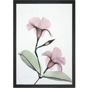 Obraz 24x29 cm Green Branch – Vavien Artwork obraz