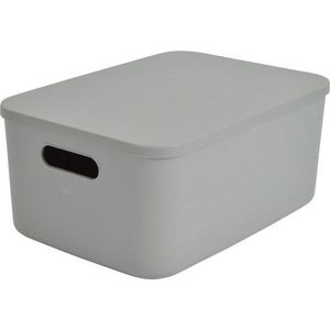 Šedý plastový úložný box s víkem 35, 5x25, 5x16 cm – Homéa obraz