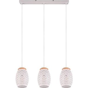 Bílé závěsné svítidlo ø 15 cm Bidar – Trio obraz