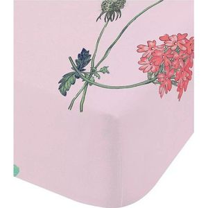 Napínací dětské prostěradlo na jednolůžko 90x190 cm Butterfly Garden – RHS obraz