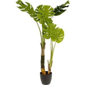 Umělá monstera (výška 130 cm) – Kave Home obraz