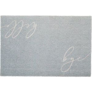 Rohožka 40x60 cm Hello Bye – Artsy Doormats obraz