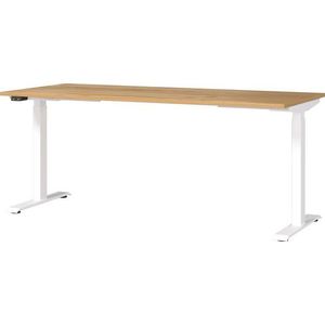Pracovní stůl s elektricky nastavitelnou výškou s deskou v dekoru dubu 80x180 cm Jet – Germania obraz