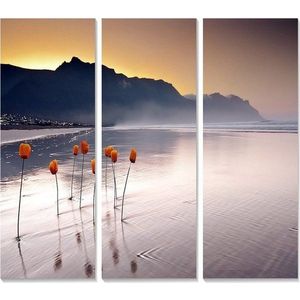 Obrazy v sadě 3 ks 20x50 cm – Wallity obraz