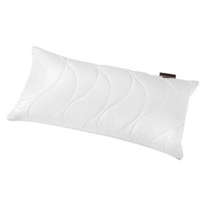 Centa-Star POLŠTÁŘ POD HLAVU, 40/80 cm obraz