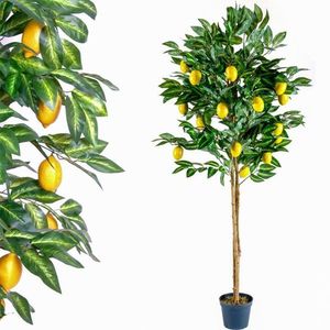 PLANTASIA 1408 Umělá květina strom - citronovník - 184 cm obraz