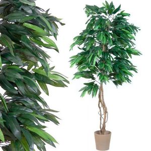 PLANTASIA 1429 Umělá rostlina strom, mango, 180 cm obraz