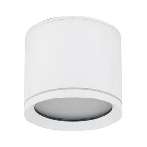 Bodové svítidlo VIVO 1xGX53/10W/230V 10 cm bílá obraz