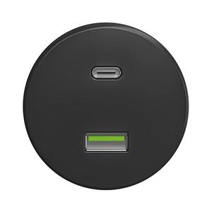 lap lap - Retro USB zásuvka A+C bez rámečku antracit obraz