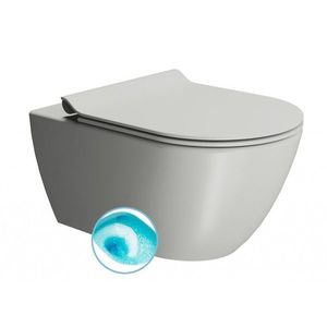 GSI PURA závěsná WC mísa, Swirlflush, 36x55cm, cenere dual-mat 881517 obraz