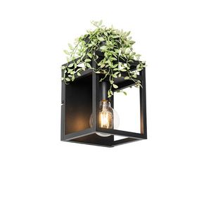 Průmyslová nástěnná lampa černá s policí - Cage Rack obraz