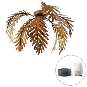 Chytré stropní svítidlo zlaté 45 cm kulaté vč. Wifi G95 - Botanica obraz