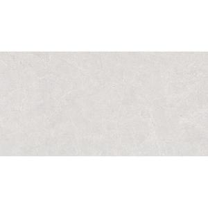 Cardosia Ash Stark Rustic 60/120 obraz