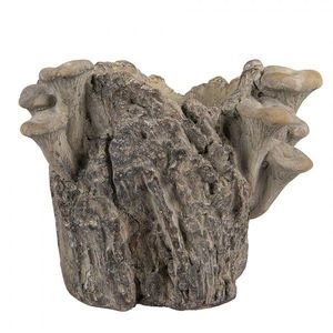 Hnědý cementový květináč kmen stromu s houbami Botanic S - 19*17*16 cm 6TE0577S obraz