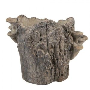 Hnědý cementový květináč kmen stromu s houbami Botanic M - 24*18*18 cm 6TE0577M obraz