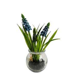 Umělý Modřenec ve skle, 19 cm obraz