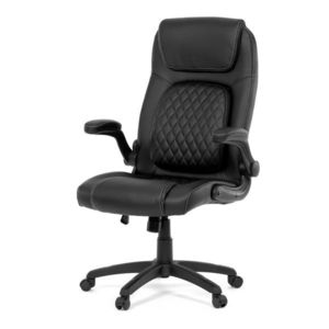 Autronic VÝPRODEJ obraz
