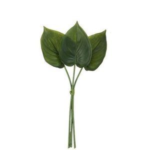 3 okrasné listy Philodendron I - 30cm 70153a obraz
