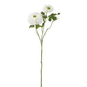 Bílá kytička Pryskyřník - 56cm 2545 obraz