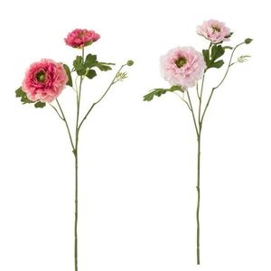 2ks růžová kytička Pryskyřník - 56cm 2546 obraz